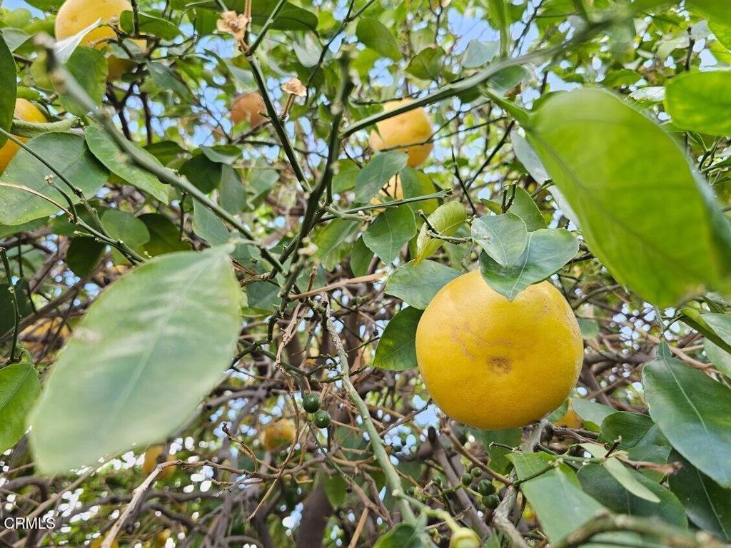 45390 Desert Eagle Court, La Quinta