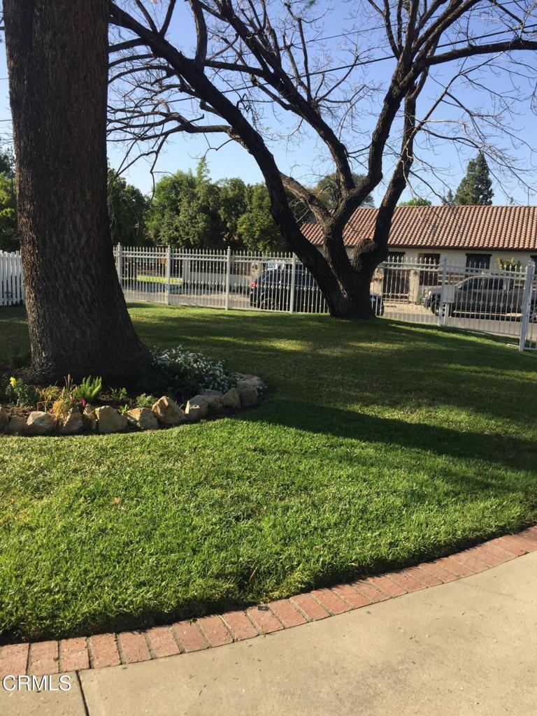 Photo of Listing #V1-31590