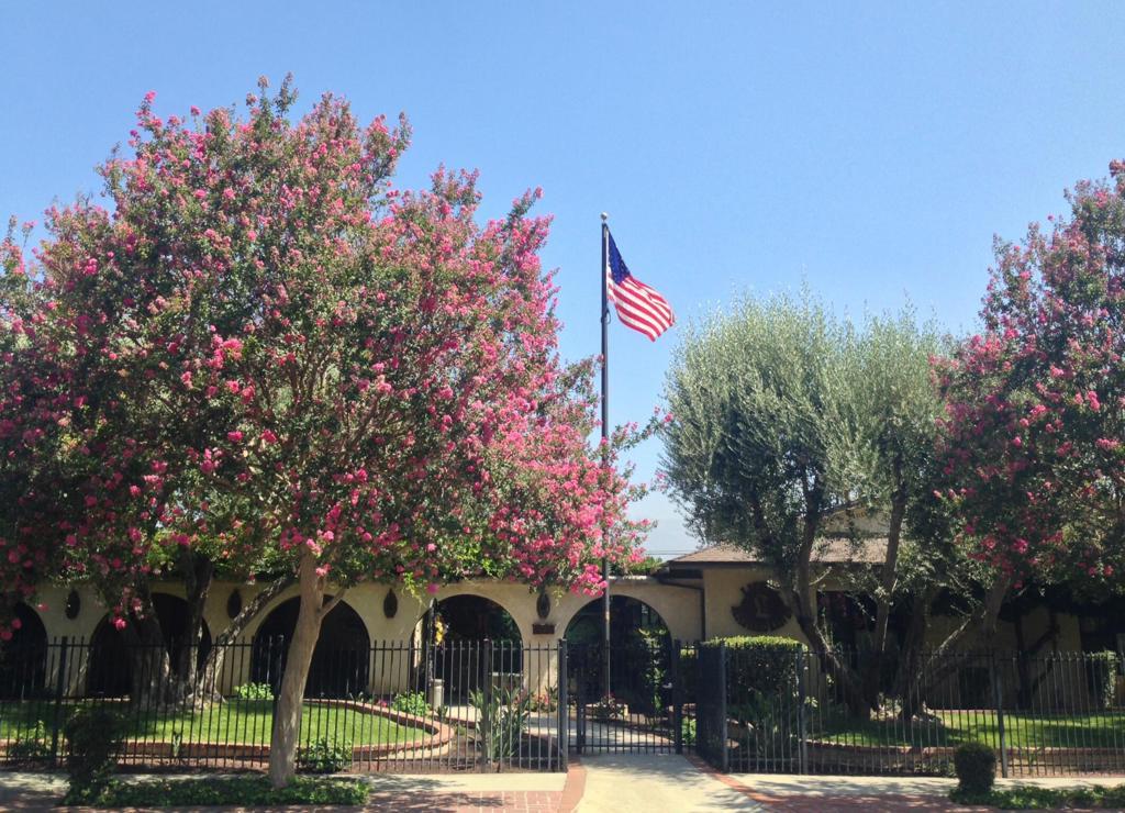 Photo of Listing #219133685DA