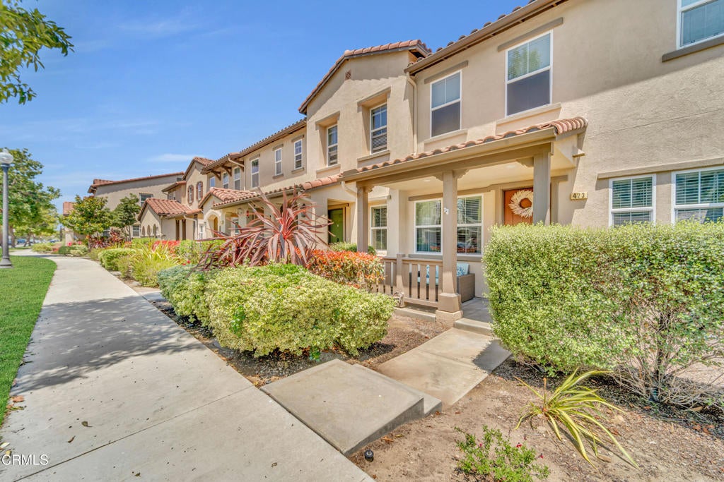 Photo of Listing #V1-31613