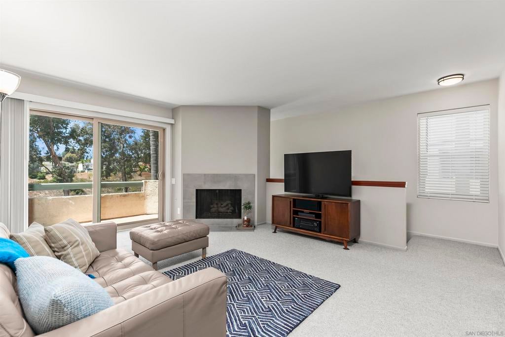 Photo of Listing #250035623SD