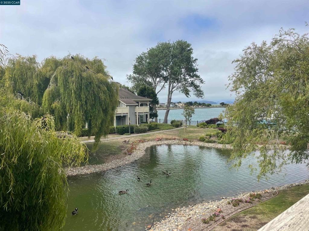 Photo of Listing #41107473