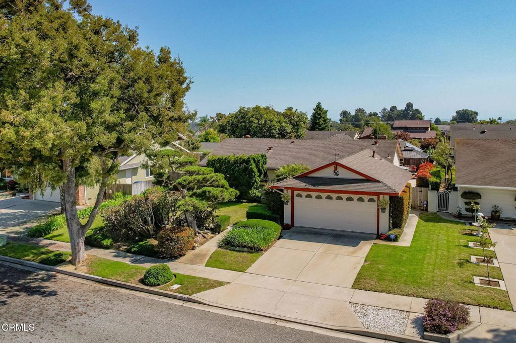 Photo of Listing #V1-31645