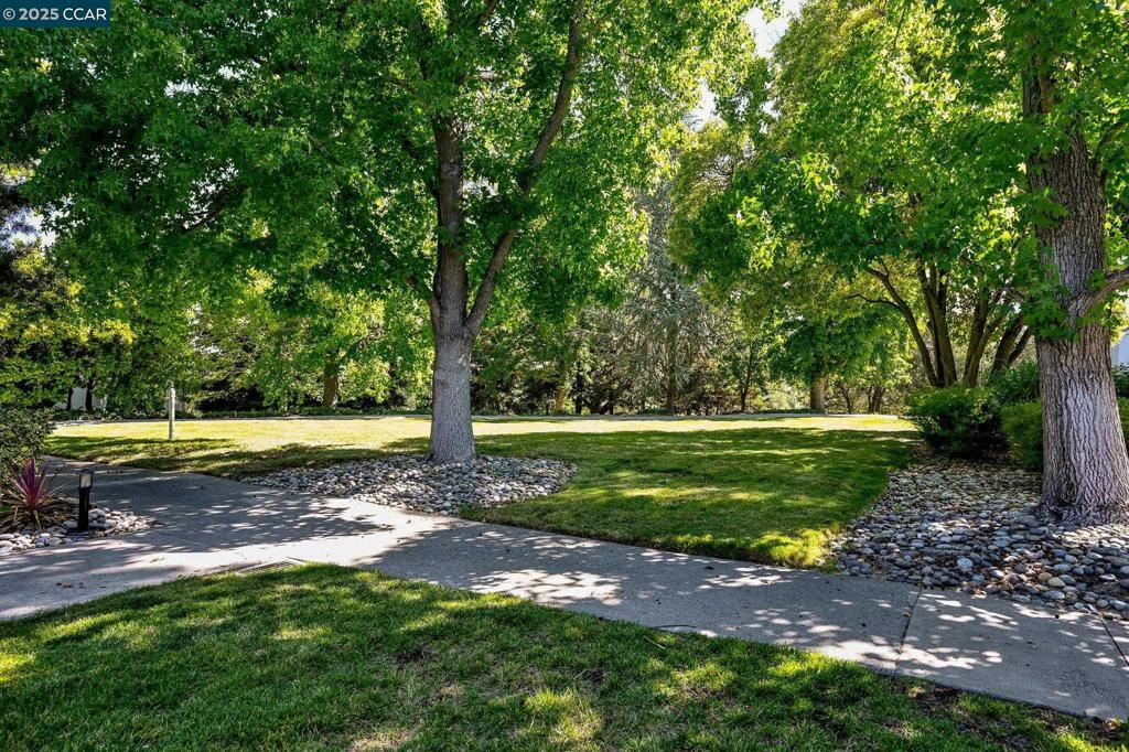 Photo of Listing #41107660