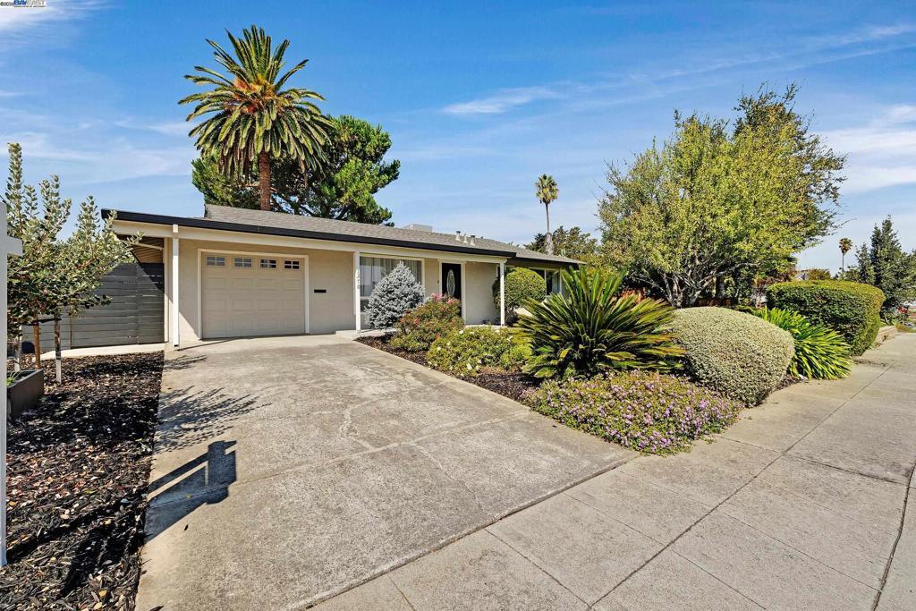 Photo of Listing #41107831