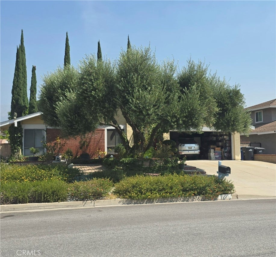 Photo of Listing #CV25183790