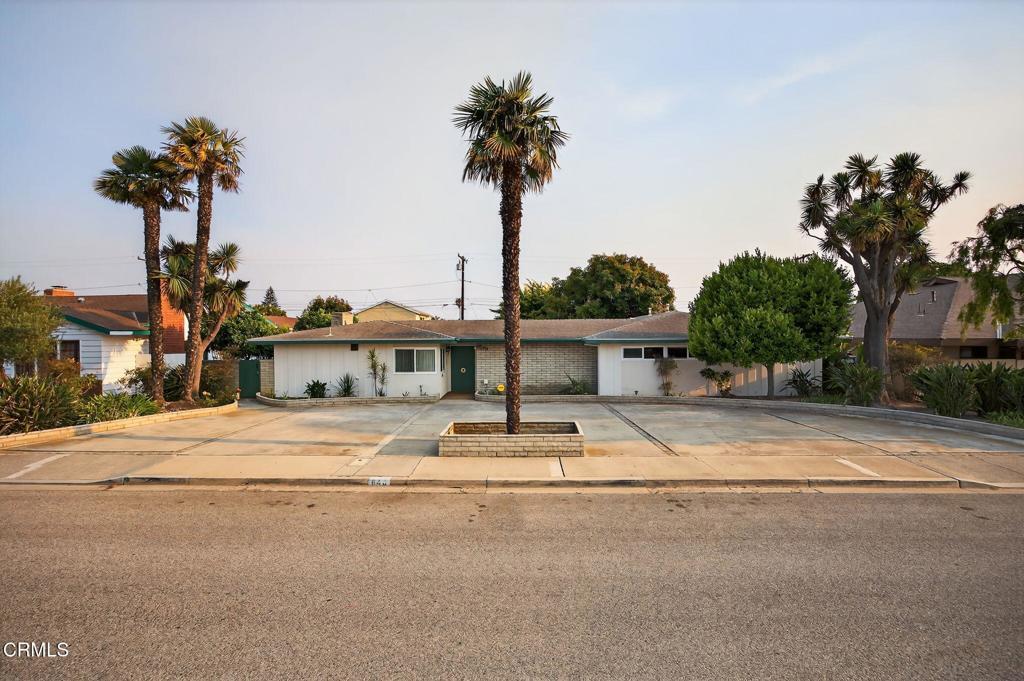 Photo of Listing #V1-31753