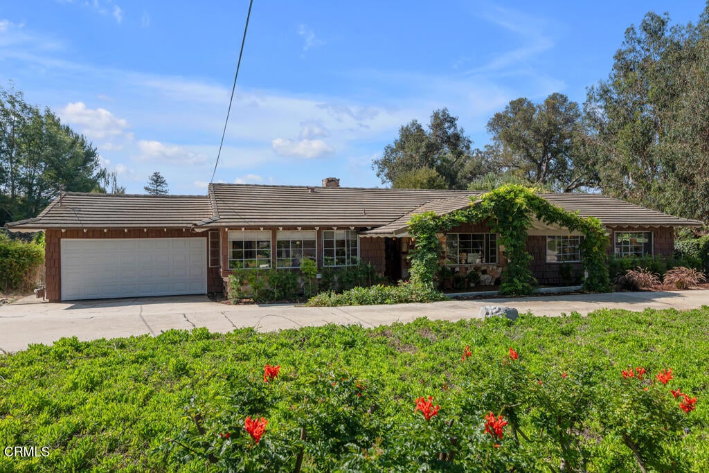 Photo of Listing #V1-31763