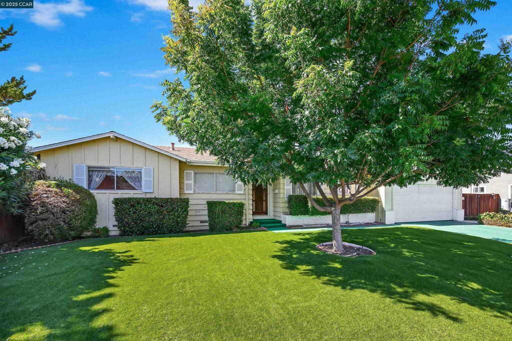 Photo of Listing #41108290