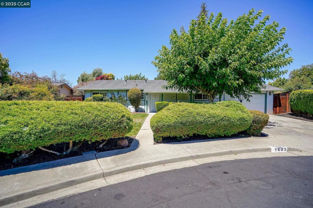 Photo of Listing #41108529