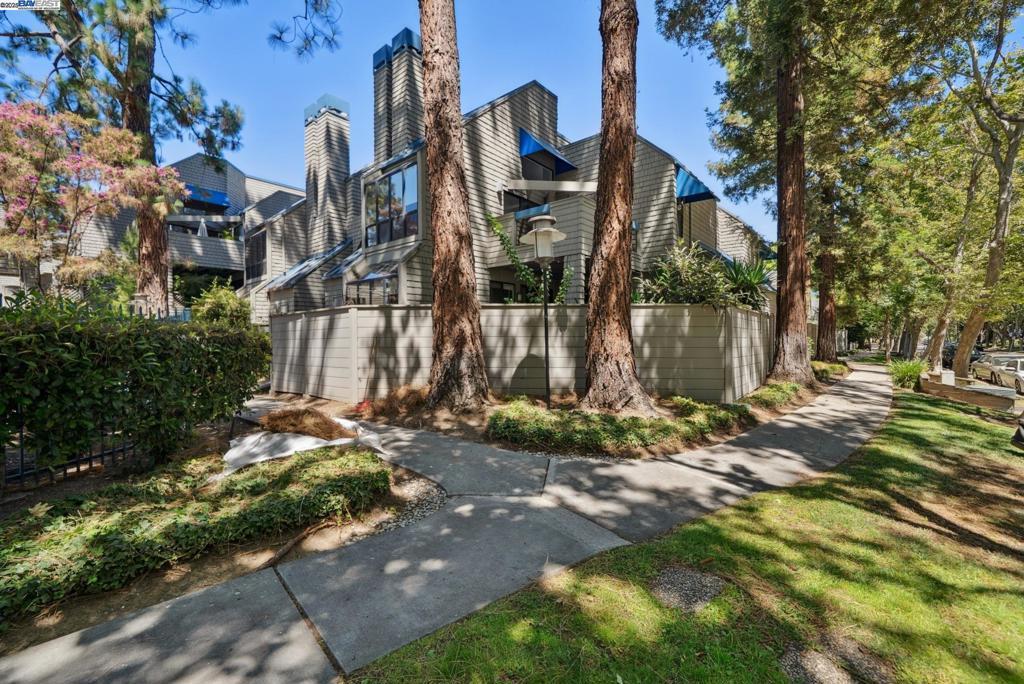 Photo of Listing #41108696