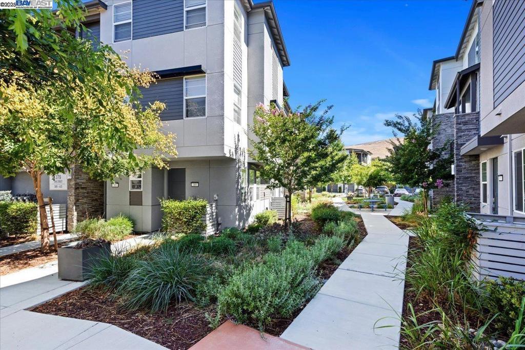 Photo of Listing #41108716