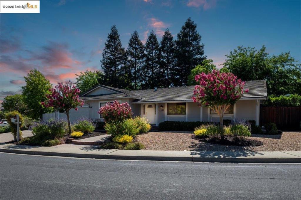 Photo of Listing #41108942