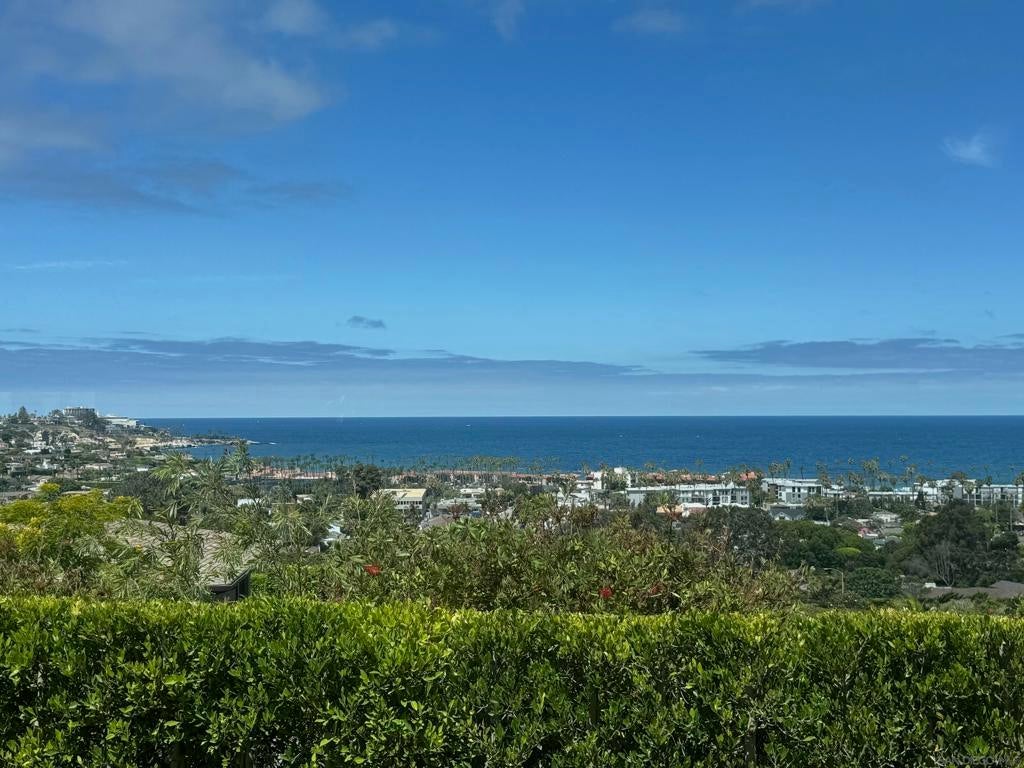 Photo of Listing #250036943SD