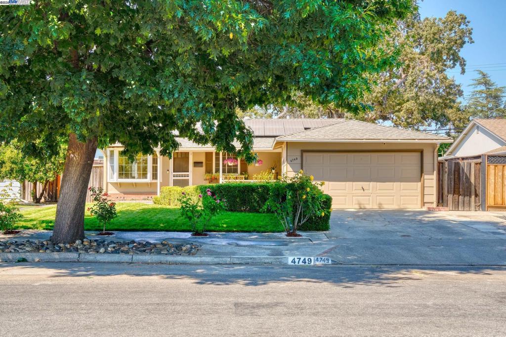 Photo of Listing #41109291