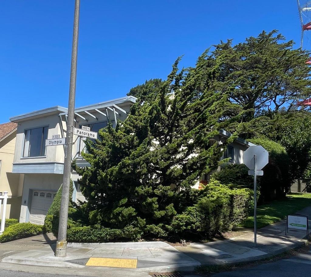 Photo of Listing #ML82018788