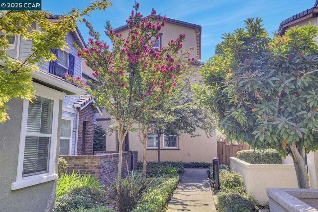 Photo of Listing #41109491