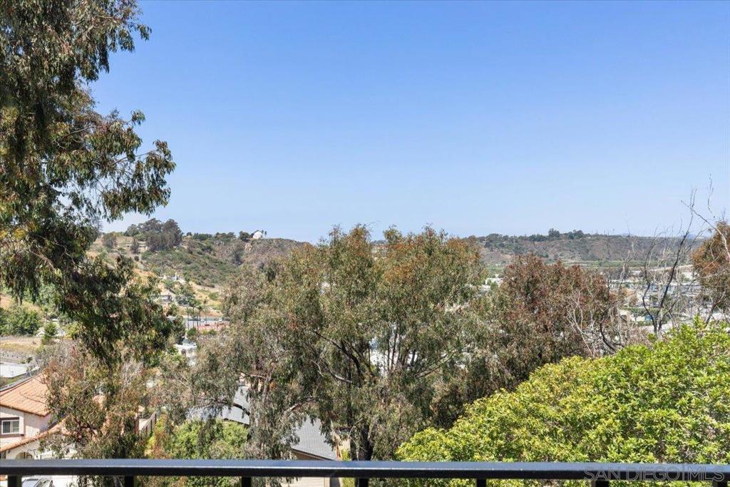 Photo of Listing #250037383SD