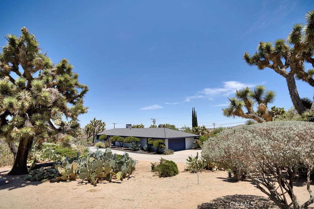 Photo of Listing #JT25213883