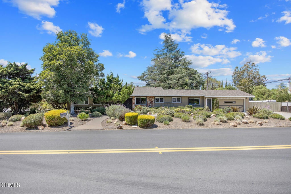 Photo of Listing #V1-32268