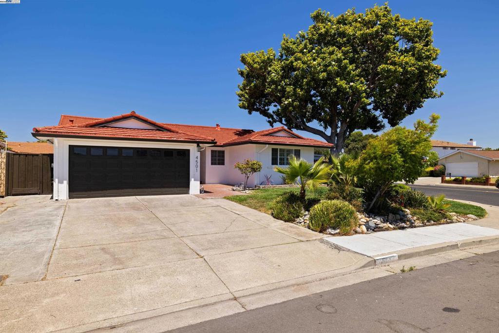 Photo of Listing #41111123