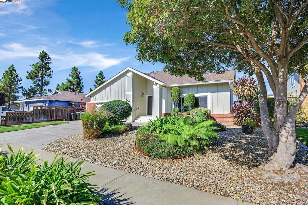 Photo of Listing #41111438