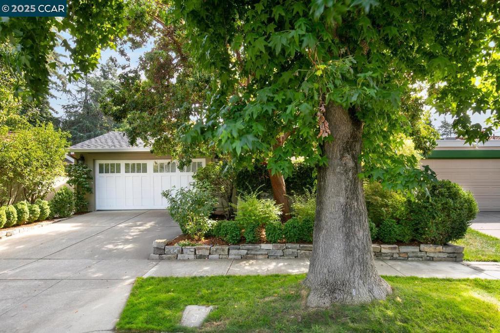 Photo of Listing #41111637