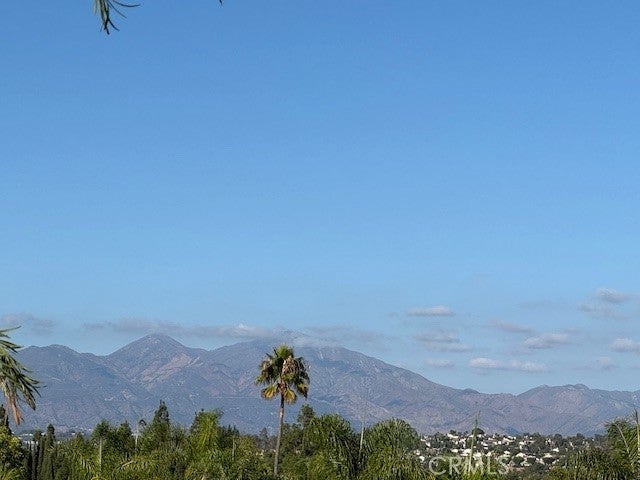 Photo of Listing #LG25217761