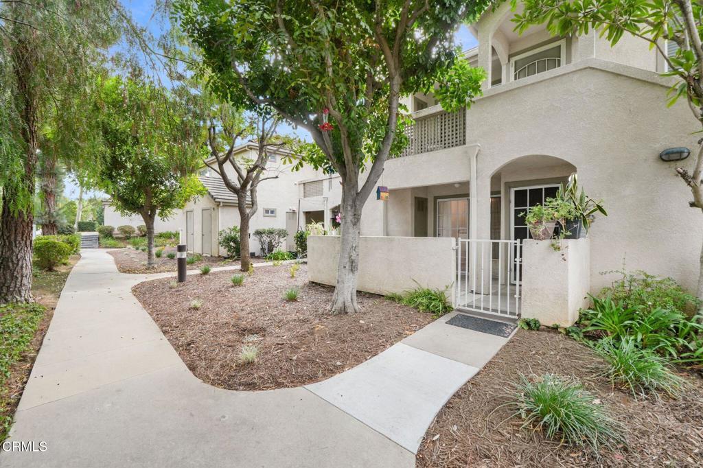 Photo of Listing #V1-32516