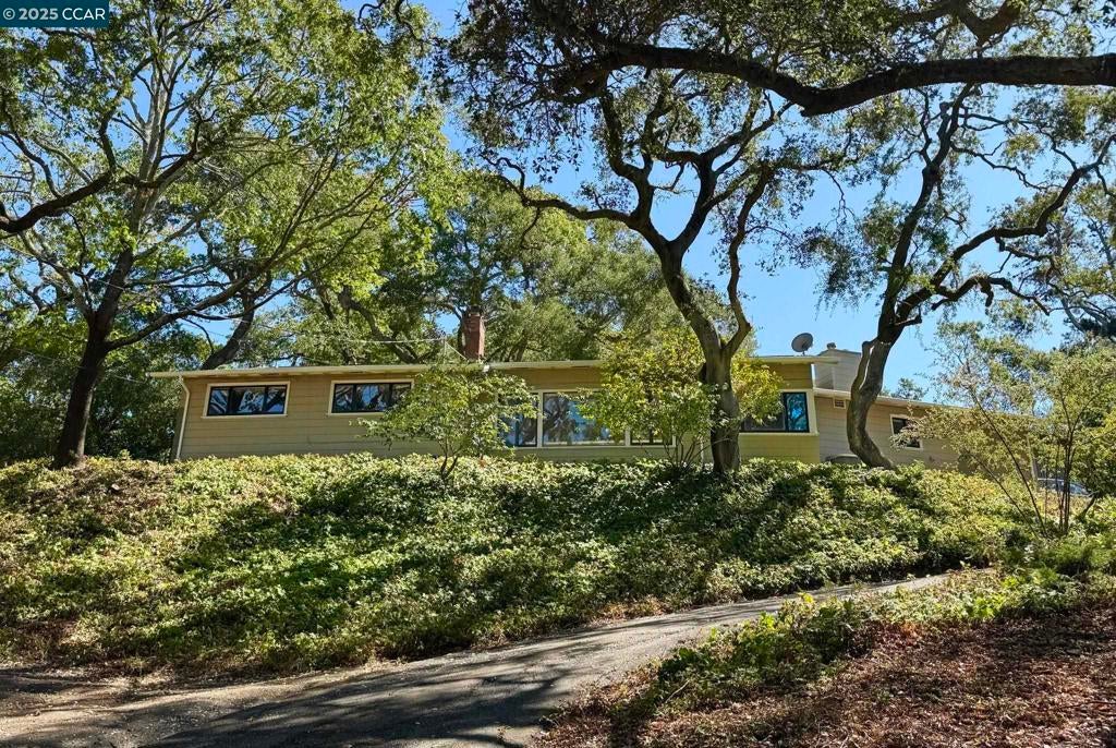 Photo of Listing #41112558