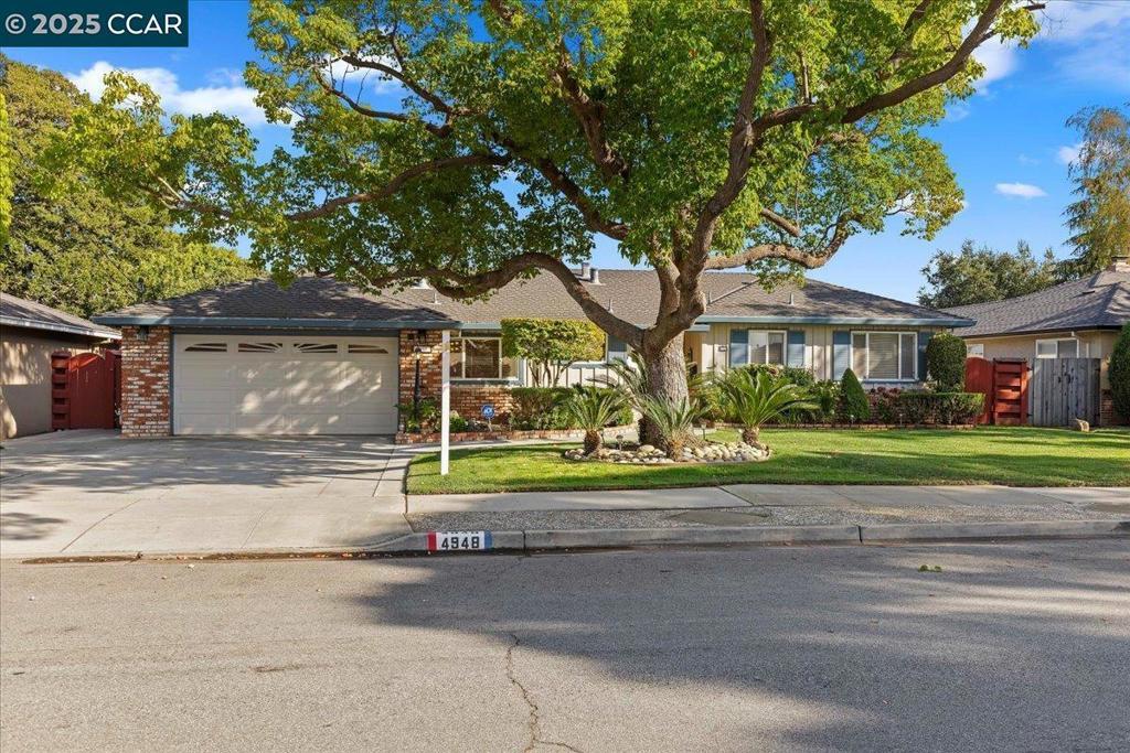 Photo of Listing #41112882