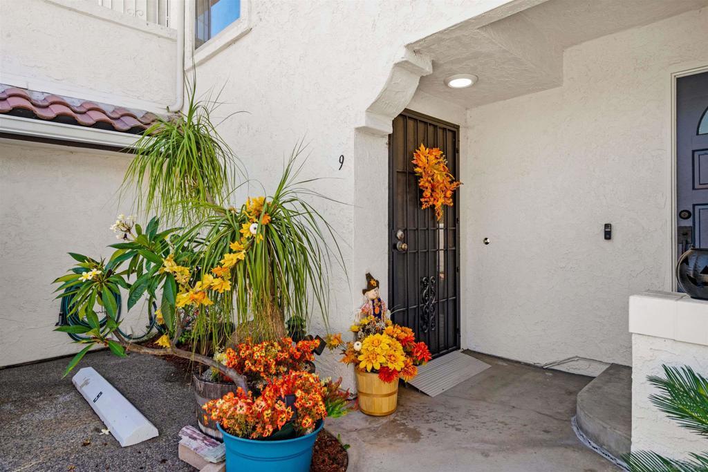 Photo of Listing #250040565SD