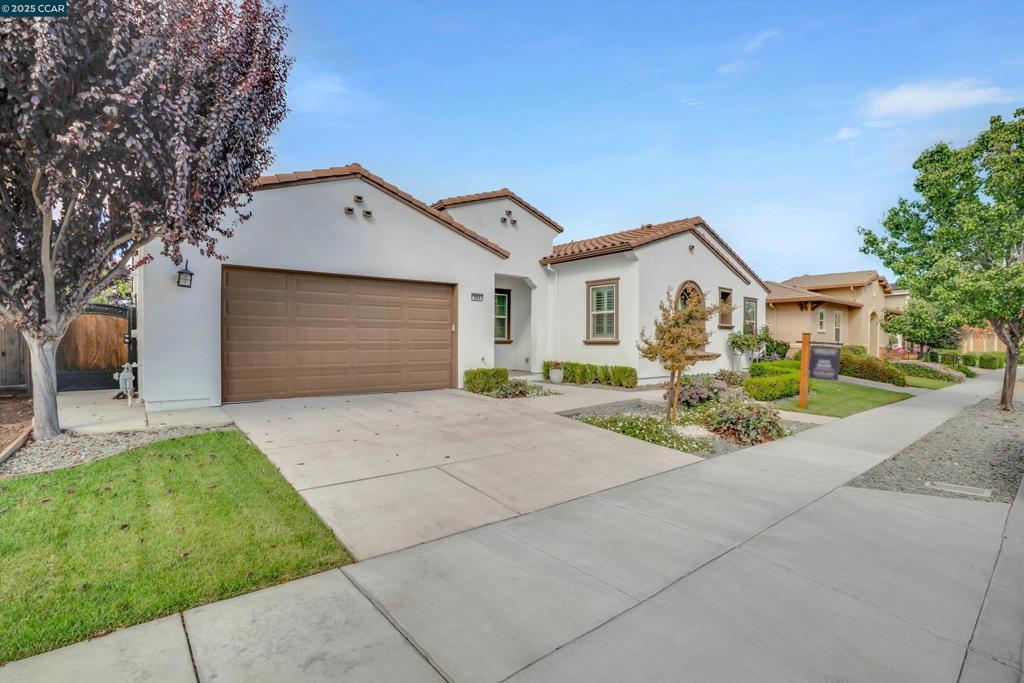 Photo of Listing #41113745