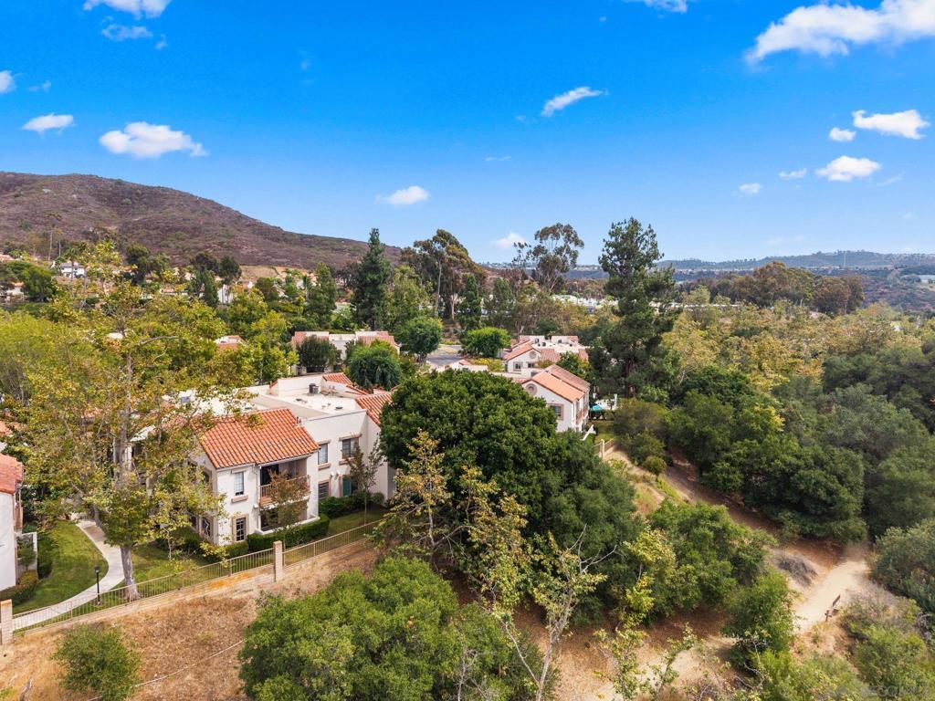 Photo of Listing #250041051SD