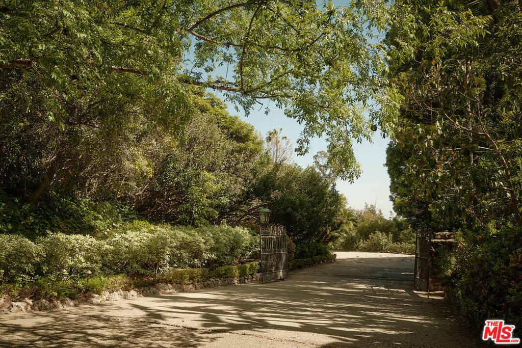 Photo of Listing #25602897