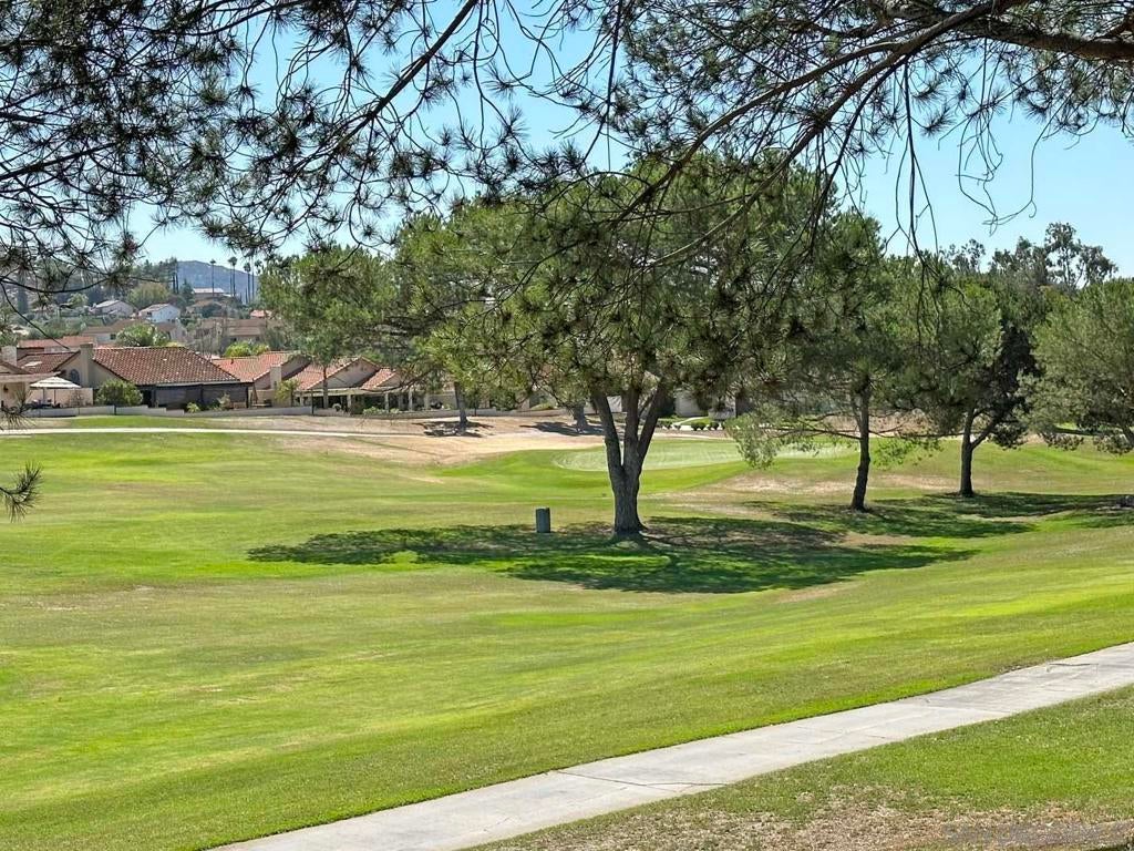 Photo of Listing #250042072SD