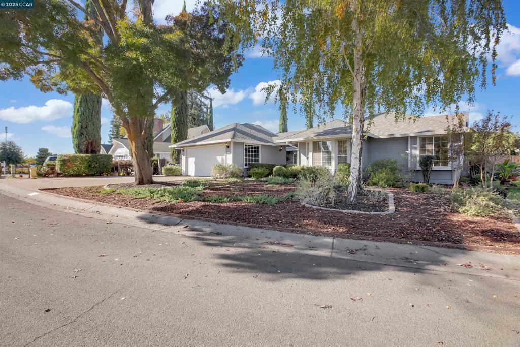 Photo of Listing #41116004