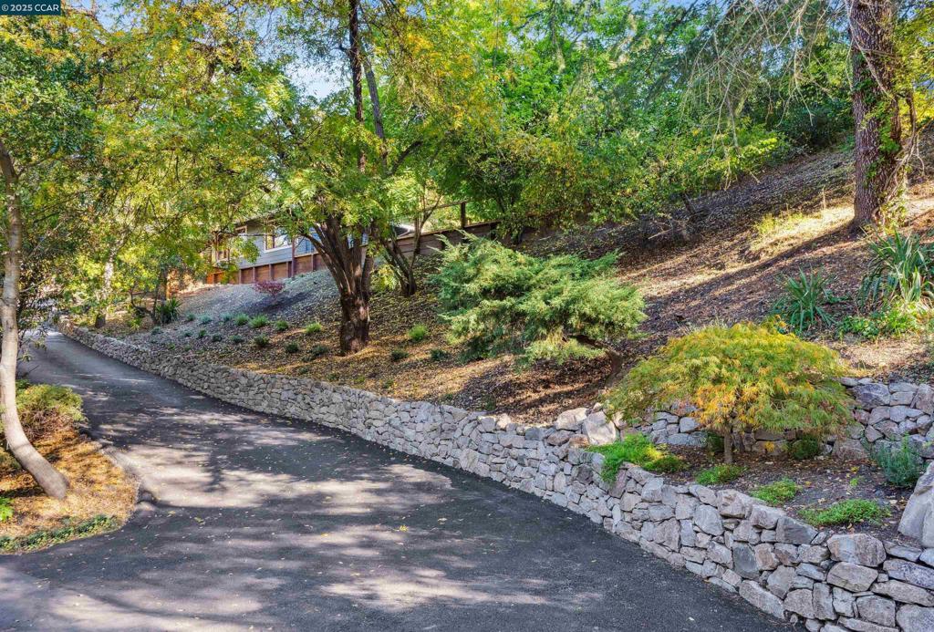 Photo of Listing #41116425