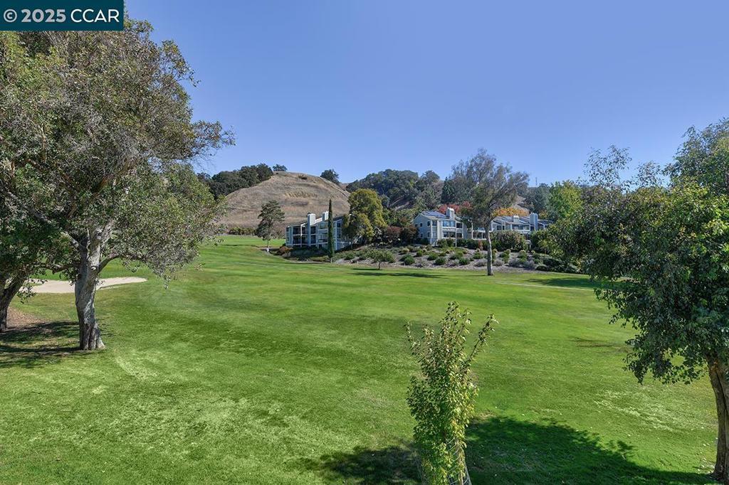 Photo of Listing #41116474