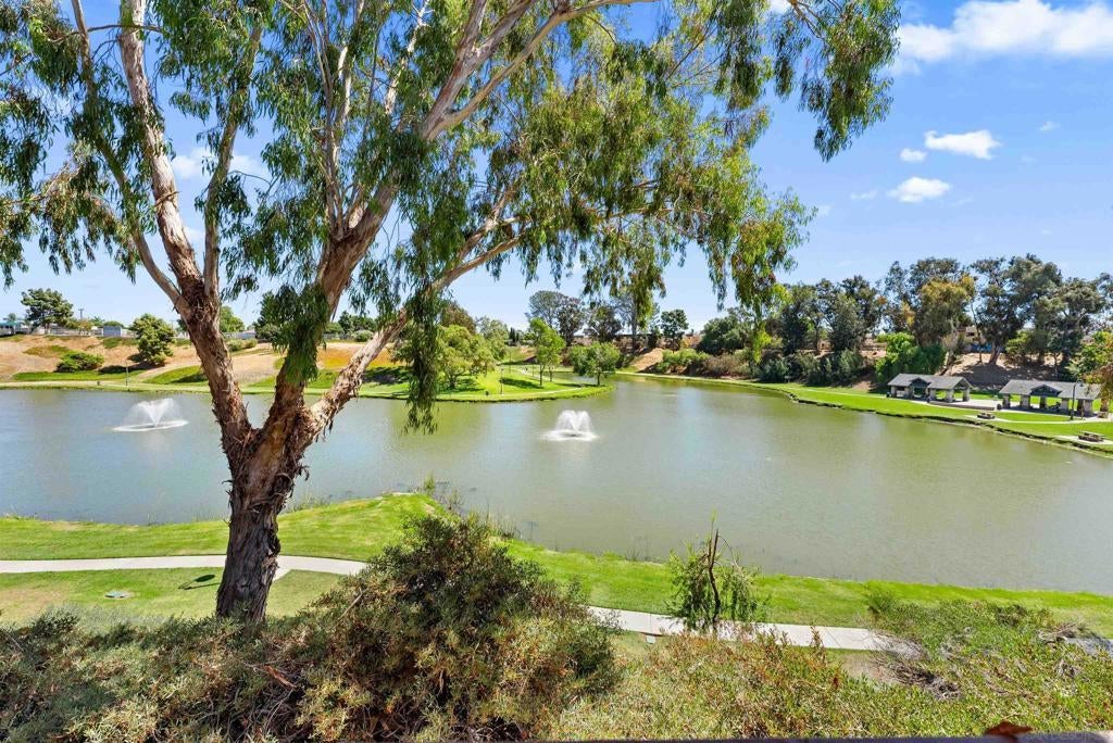 Photo of Listing #250043193SD