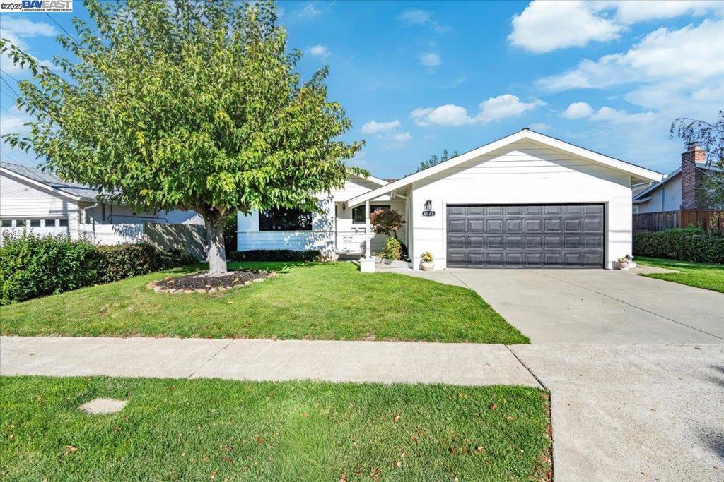 Photo of Listing #41117242