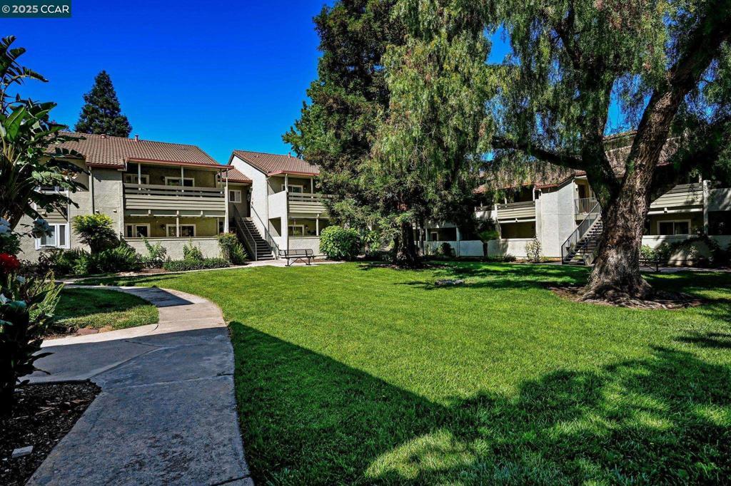 Photo of Listing #41117454