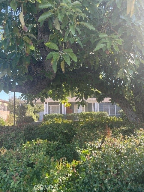 Photo of Listing #CV25273955