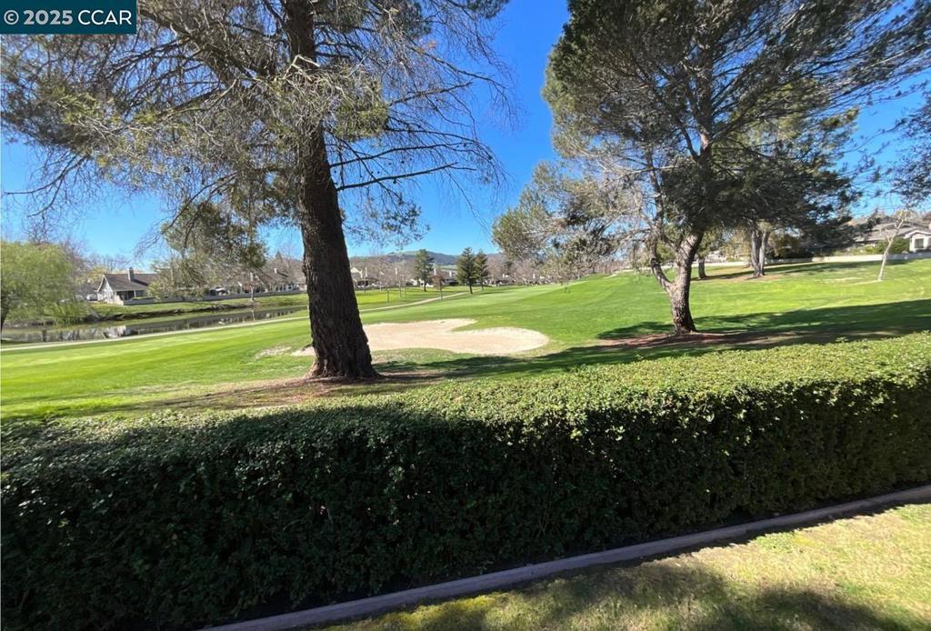 Photo of Listing #41119720