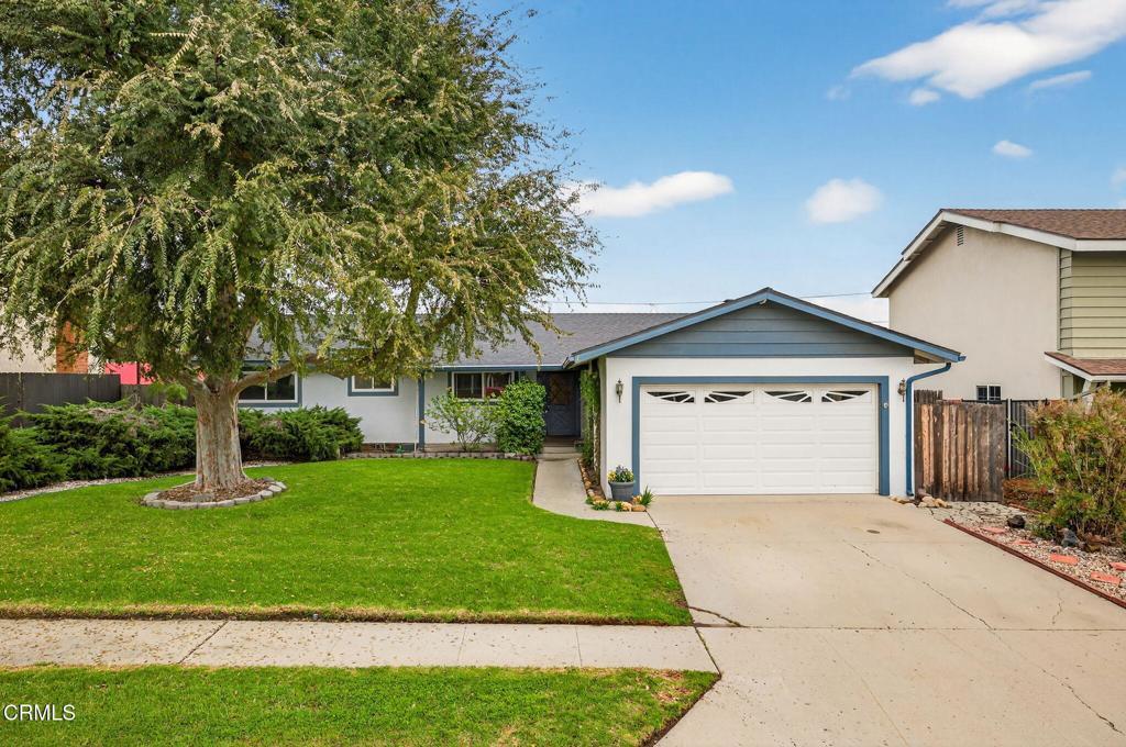 Photo of Listing #V1-33955