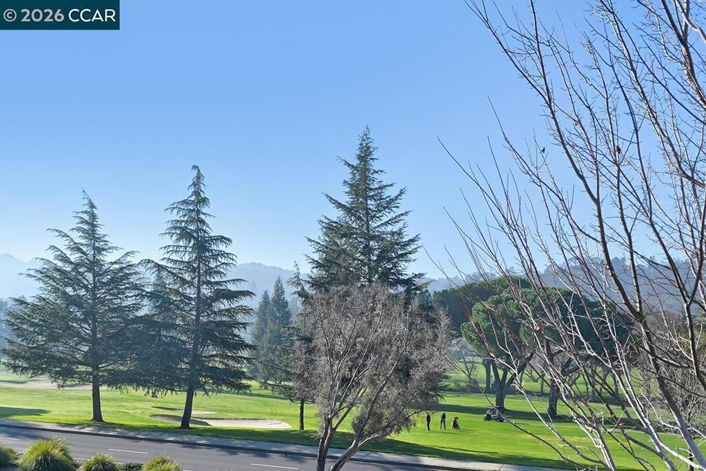 Photo of Listing #41120949