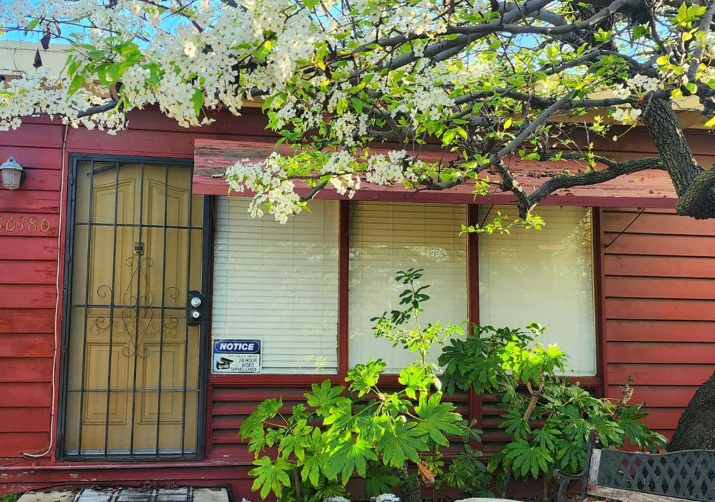 Photo of Listing #ML82034950