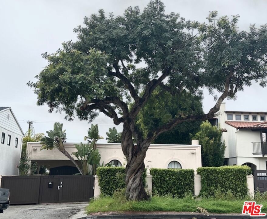 Photo of Listing #26652483