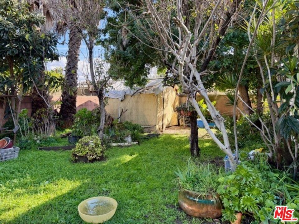 Photo of Listing #26653749