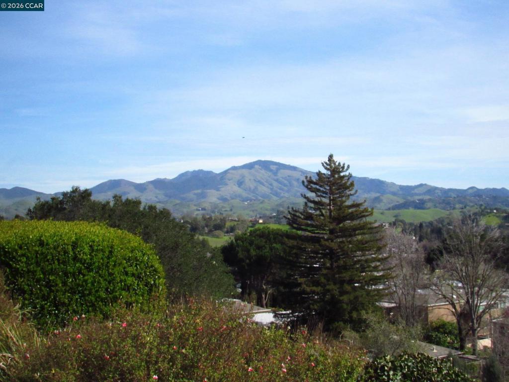 Photo of Listing #41124869